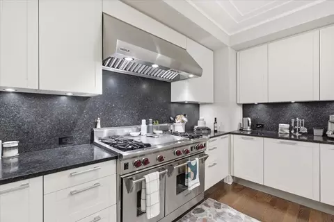 Kitchen - 159 E Walton Pl #8D, Chicago, IL 60611 photo 4 of 5