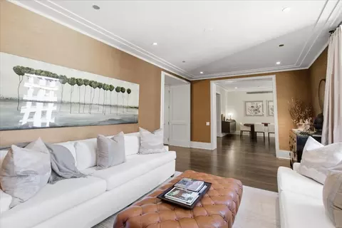 Living - 159 E Walton Pl #8D, Chicago, IL 60611 photo 6 of 6