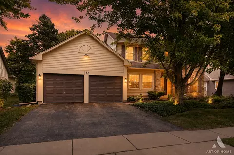 Exterior - 333 Brittany Trl, Elgin, IL 60120 photo 4 of 10