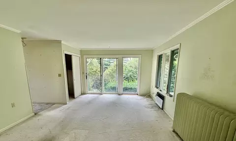Other - 811 NW 3rd Ave, Galva, IL 61434 photo 6 of 9
