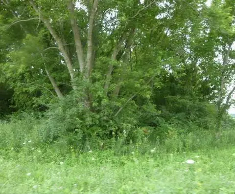 600 283 St, Viola, IL 61486 photo 3