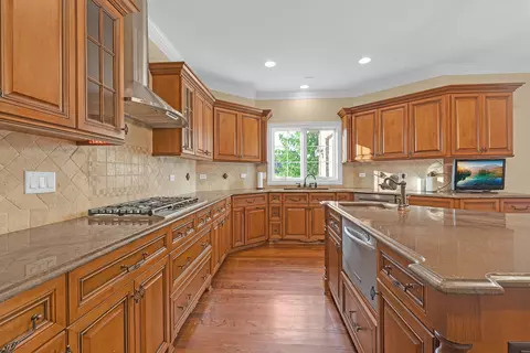Kitchen - 12408 Lajunta Ct, Mokena, IL 60448 photo 4 of 7