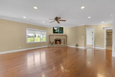 Living - 12408 Lajunta Ct, Mokena, IL 60448 photo 4 of 7