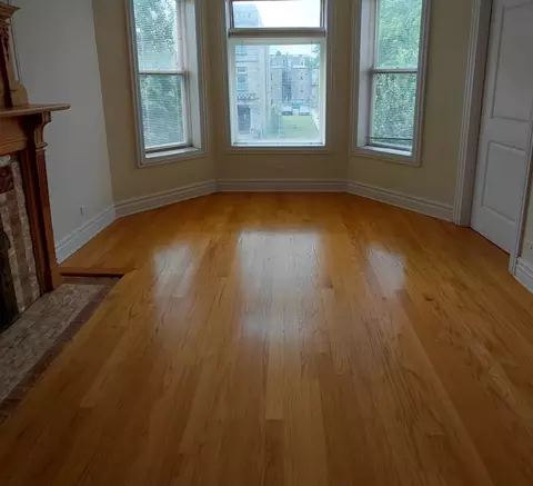 Living - 432 E 45th Pl, Chicago, IL 60653 photo 6 of 12