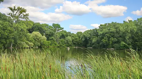 View/Area - 2230 Barger Ct, Wheaton, IL 60189 photo 2 of 2