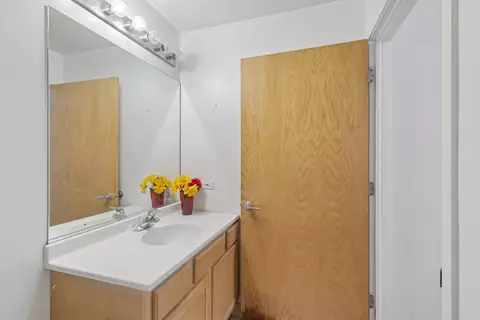 Bath - 41 E 8th St #1102, Chicago, IL 60605 photo 4 of 4