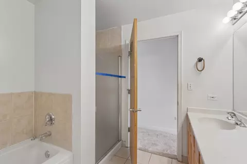 Bath - 41 E 8th St #1102, Chicago, IL 60605 photo 1 of 4