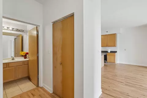 Entry Way - 41 E 8th St #1102, Chicago, IL 60605 photo 1 of 1