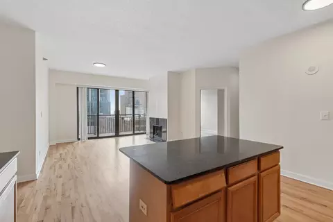 Living - 41 E 8th St #1102, Chicago, IL 60605 photo 4 of 4