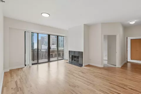 Living - 41 E 8th St #1102, Chicago, IL 60605 photo 1 of 4