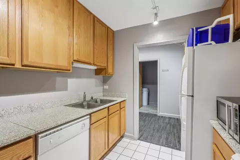 Kitchen - 41 E 8th St #1102, Chicago, IL 60605 photo 3 of 3