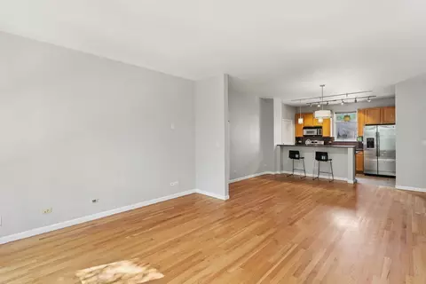 Living - 1500 S Halsted St #2A, Chicago, IL 60607 photo 5 of 5