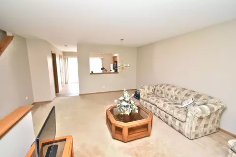 Living - 1361 Fox Hound Trl, Beecher, IL 60401 photo 2 of 2