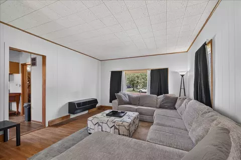 Living - 411 Main St, Leaf River, IL 61047 photo 3 of 3