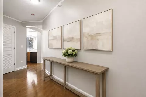 Entry Way - 420 E Waterside Dr #1410, Chicago, IL 60601 photo 1 of 1