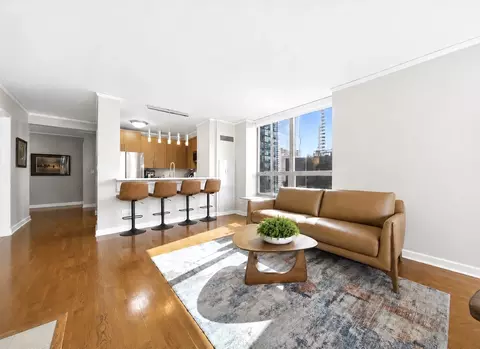 Other - 420 E Waterside Dr #1410, Chicago, IL 60601 photo 1 of 9