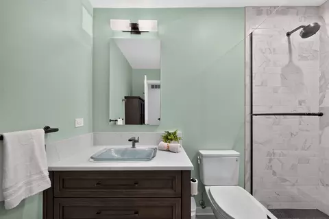 Bath - 135 Hawkins Cir, Wheaton, IL 60189 photo 3 of 5