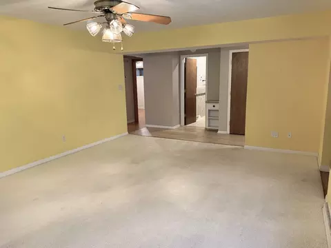 Living - 205 Oak St, Spring Valley, IL 61362 photo 2 of 3