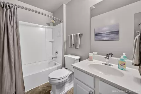 Bath - 1002 Chestnut Dr, Pingree Grove, IL 60140 photo 3 of 4