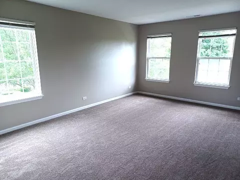 Other - 24738 George Washington Dr, Plainfield, IL 60544 photo 3 of 4