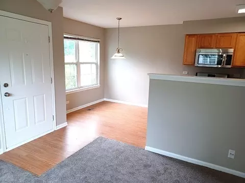 Other - 24738 George Washington Dr, Plainfield, IL 60544 photo 2 of 4