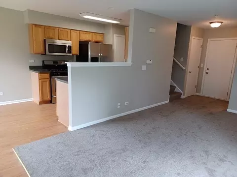 Living - 24738 George Washington Dr, Plainfield, IL 60544 photo 4 of 4