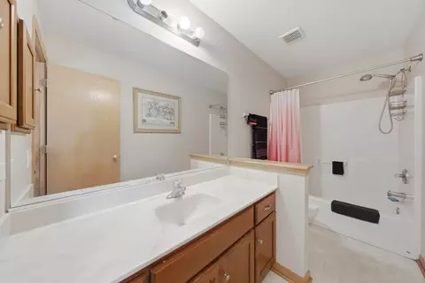 Bath - 16737 Hazelwood Dr, Plainfield, IL 60586 photo 4 of 4