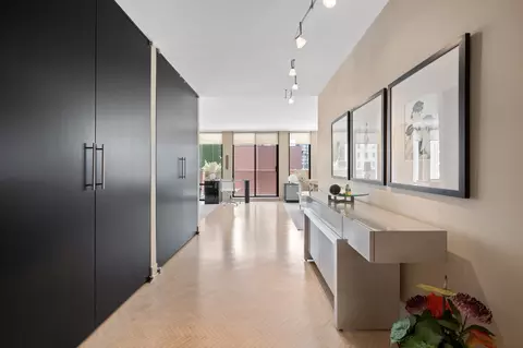 Entry Way - 200 E Delaware Pl #7D, Chicago, IL 60611 photo 4 of 5