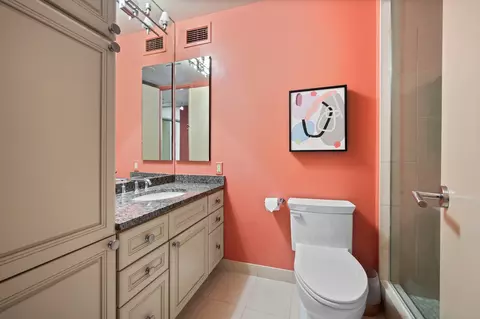 Bath - 200 E Delaware Pl #7D, Chicago, IL 60611 photo 1 of 3