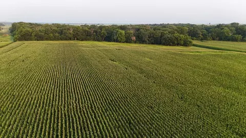 Other - 00 Crosby Rd, Morrison, IL 61270 photo 11 of 11