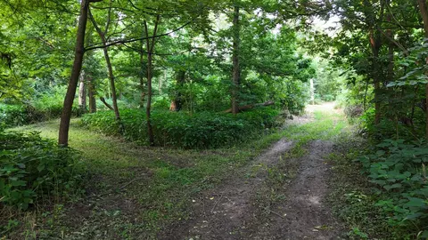 Exterior - 00 Crosby Rd, Morrison, IL 61270 photo 1 of 3