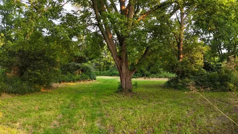 Exterior - 00 Crosby Rd, Morrison, IL 61270 photo 3 of 3