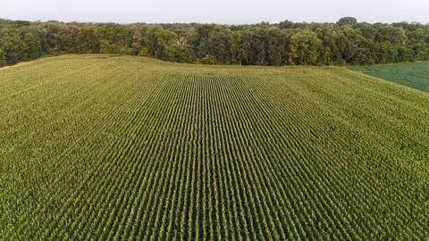 Other - 00 Crosby Rd, Morrison, IL 61270 photo 9 of 11