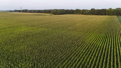 Other - 00 Crosby Rd, Morrison, IL 61270 photo 10 of 11