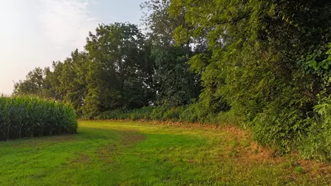 Other - 00 Crosby Rd, Morrison, IL 61270 photo 18 of 18
