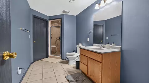 Bath - 113 S Pintail Ln, Downs, IL 61736 photo 6 of 6