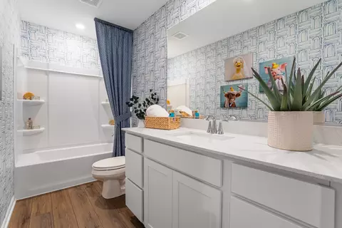 Bath - 565 Arye Dr, Elgin, IL 60124 photo 3 of 3