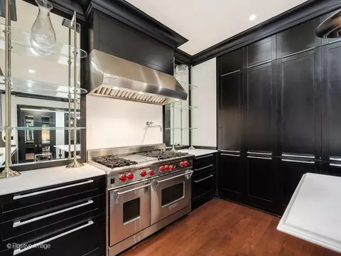 Kitchen - 159 E Walton Pl #7D, Chicago, IL 60611 photo 3 of 4