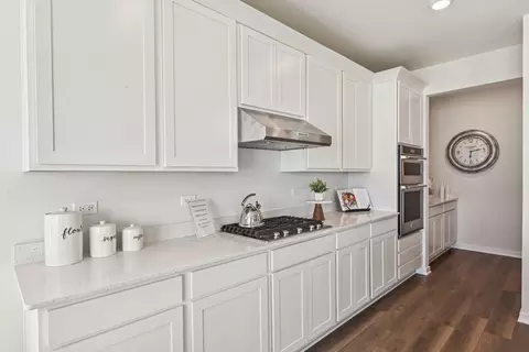 Kitchen - 292 Snowdrop Ln, Elgin, IL 60124 photo 5 of 6