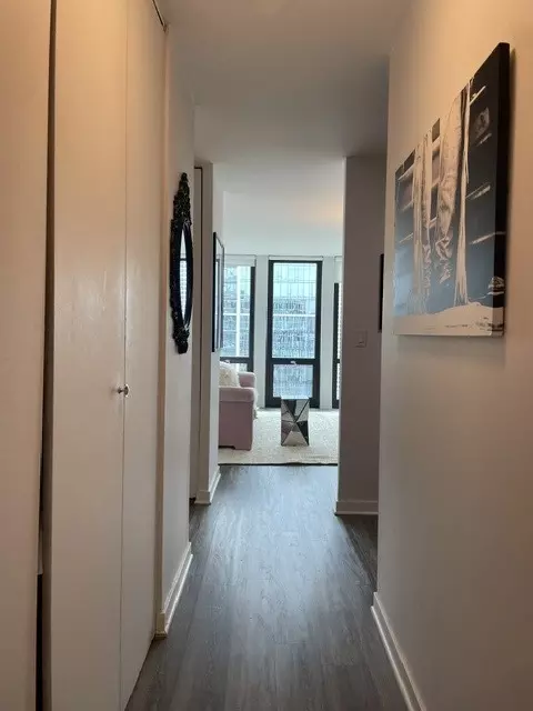 Entry Way - 1 E Scott St #2007, Chicago, IL 60610 photo 1 of 1