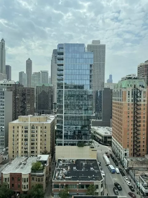 View/Area - 1 E Scott St #2007, Chicago, IL 60610 photo 1 of 1