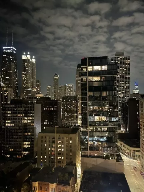 Other - 1 E Scott St #2007, Chicago, IL 60610 photo 3 of 6
