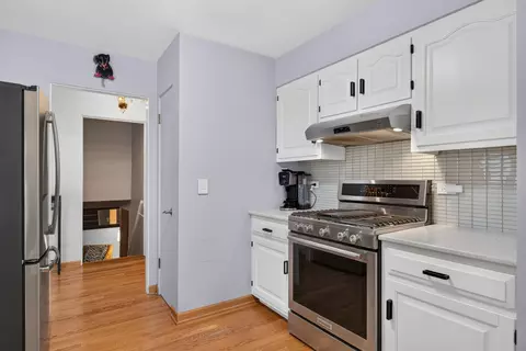 Kitchen - 220 E Hillside Rd, Naperville, IL 60540 photo 6 of 8