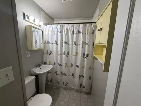 Bath - 536 Dwight St, Kewanee, IL 61443 photo 1 of 1