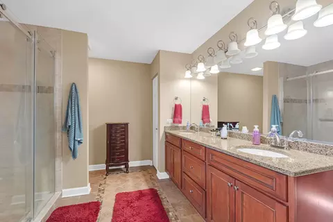 Bath - 1470 Boulder Bluff Ln, Algonquin, IL 60102 photo 4 of 4