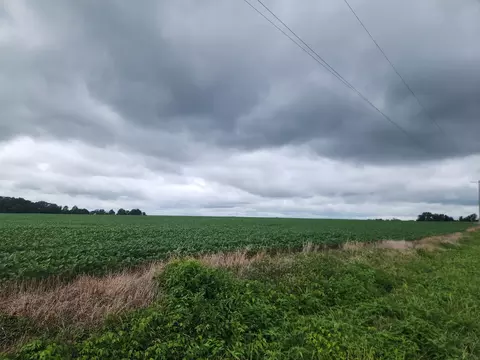 0000 Lost Prairie Rd, Coulterville, IL 62237