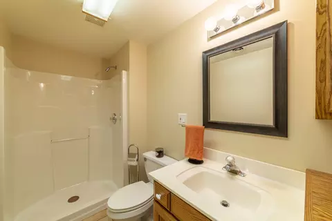 Bath - 26618 S Winfield Rd, Monee, IL 60449 photo 9 of 12