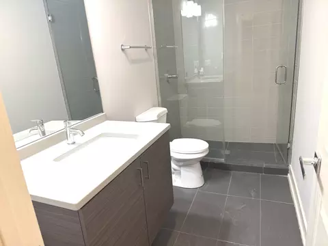 Bath - 544 E 46th Pl, Chicago, IL 60653 photo 9 of 9