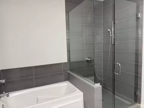 Bath - 544 E 46th Pl, Chicago, IL 60653 photo 8 of 9