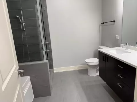 Bath - 544 E 46th Pl, Chicago, IL 60653 photo 6 of 9
